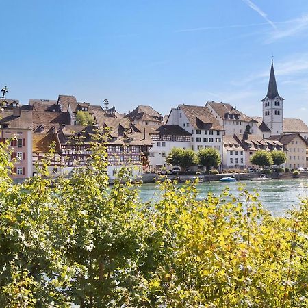Am Hochrhein Desko Apartment Гайлинген Екстериор снимка