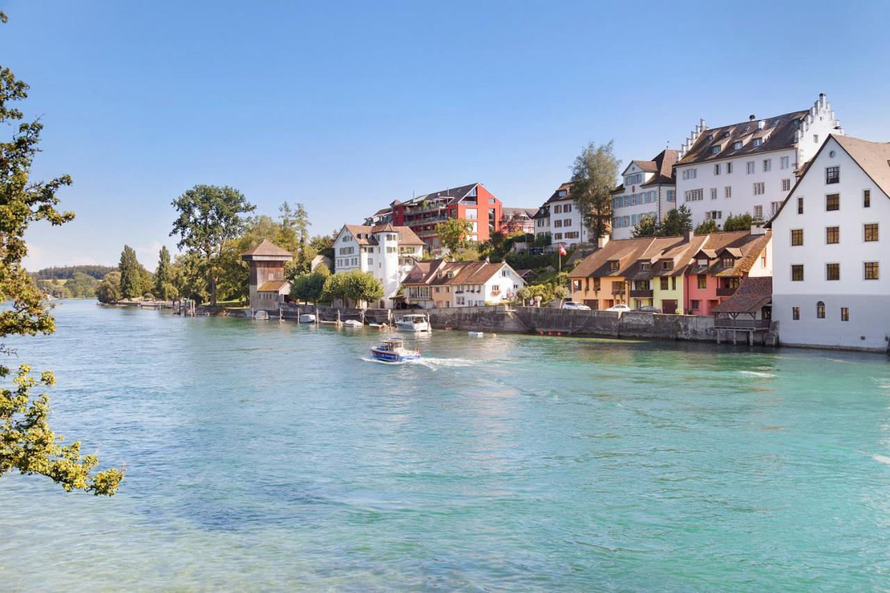 Am Hochrhein Desko Apartment Гайлинген Екстериор снимка